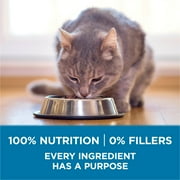Purina ONE Plus, Indoor Advantage, Senior Dry Cat Food, Chicken, 7 lb Bag