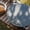 Silver, variant on Upgraded Outdoor Camping Grill Pan Stainless Steel Camping Picnic Barbecue Frying Pan Grill Pan Oil Filter Scorch Grill