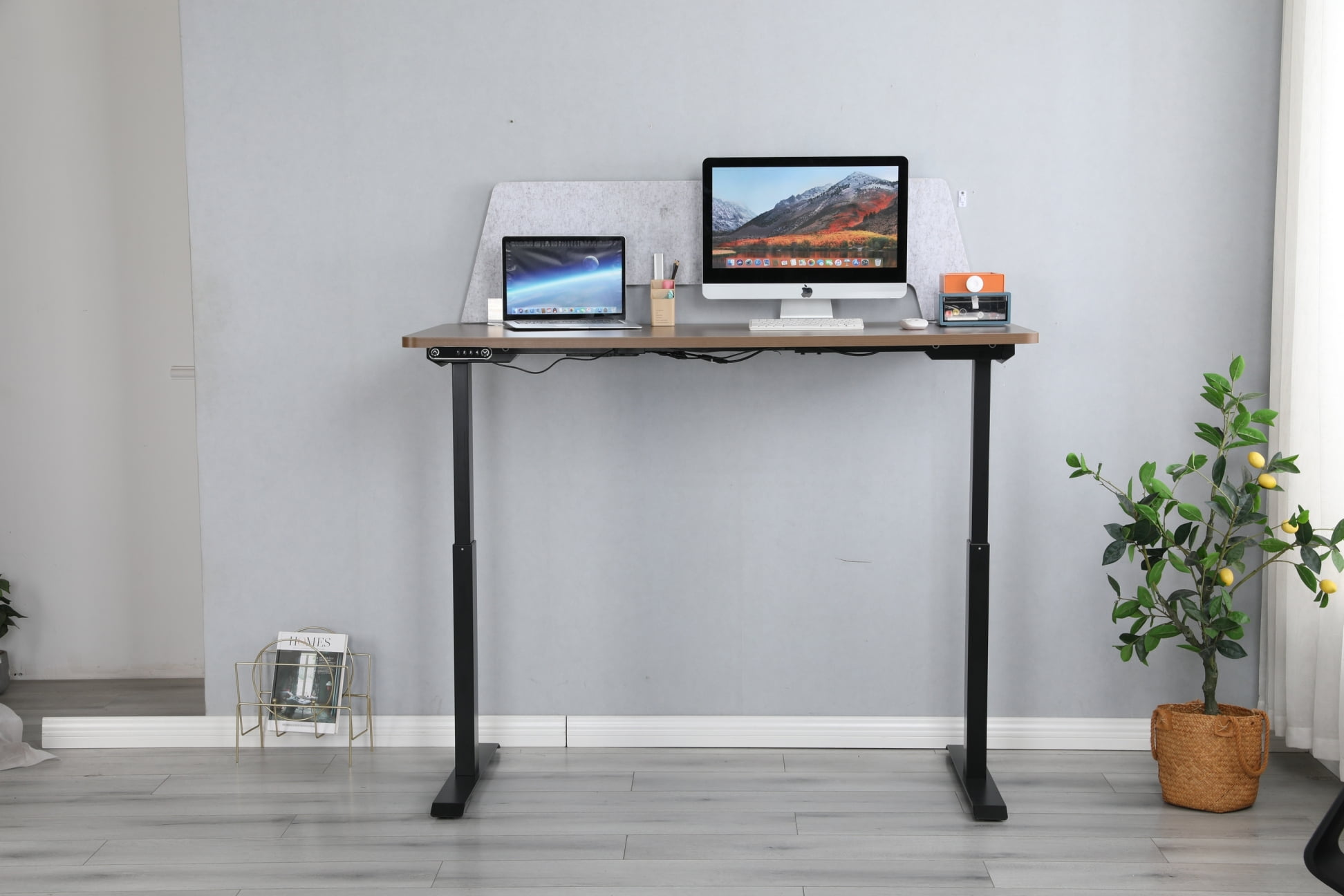 MXTARK Electric Standing Desk(Roller), Height Adjustable Computer Desk