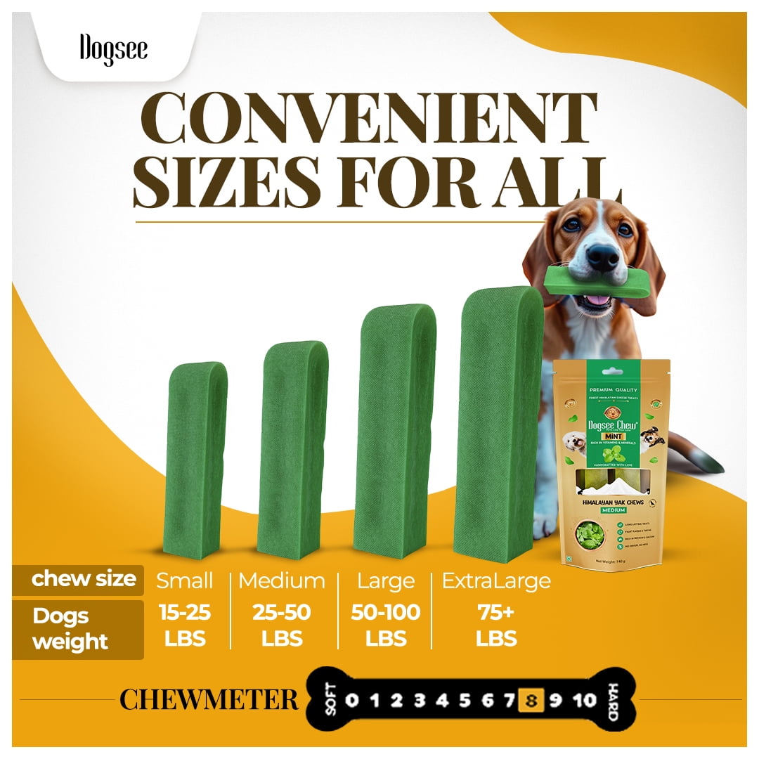 Dogsee Mint Yak Cheese Dental Chews Medium Dogs 1 lb 6 Odorless Bars