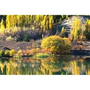 Autumn Colours Lake Dunstan Central Otago New Zealand Poster Print by David Wall - 28 x 19 in.
