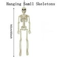thumbnail image 4 of Halloween Decorations Halloween Skeleton Life Size Posable Joints Skeletons Life Size Hand Life Body Anatomy Model Decor Halloween Skeleton Decorations For Halloween Party, 4 of 8
