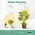 thumbnail image 4 of Plant Grow Light,Full Spectrum LED Plant Light for Indoor Plants, Height Adjustable Growing Lamp with Auto On/Off Timer 3/9/12H, 9 Dimmable Brightness, Ideal for Small Plants (Double lights), 4 of 7