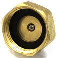 thumbnail image 7 of Vibrant Yard Company SVFNH, Gold Lead Free Brass 1/2 Inches Schrader Valve, 7 of 7