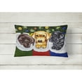 thumbnail image 2 of Carolines Treasures AMB1315PW1216 Christmas Stocking Surprise Labrador Fabric Decorative Pillow 12H x16W multicolor, 2 of 3