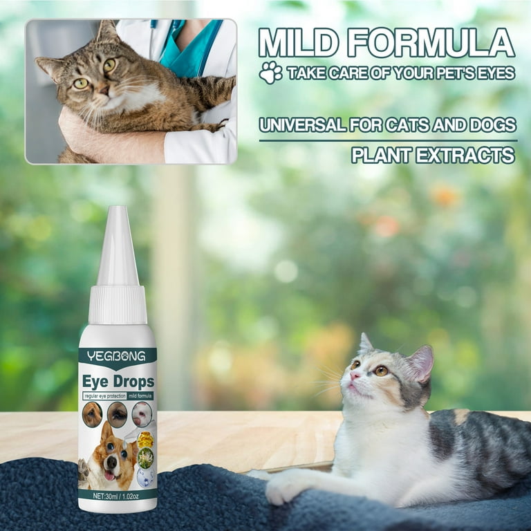Clorogen eye drops for cats sales
