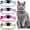 Light Green, Light Blue, Light Purple, Rose Red, variant on Mumup 4 Pieces Rhinestones Cat Collars Breakaway Cat Collar with Bell Bling Pet Accessories with Soft Velvet