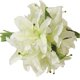 thumbnail image 1 of Plantas Artificial Flor Ramo Seda Decoración Boda Casa Colco Ramo de la boda, 1 of 8