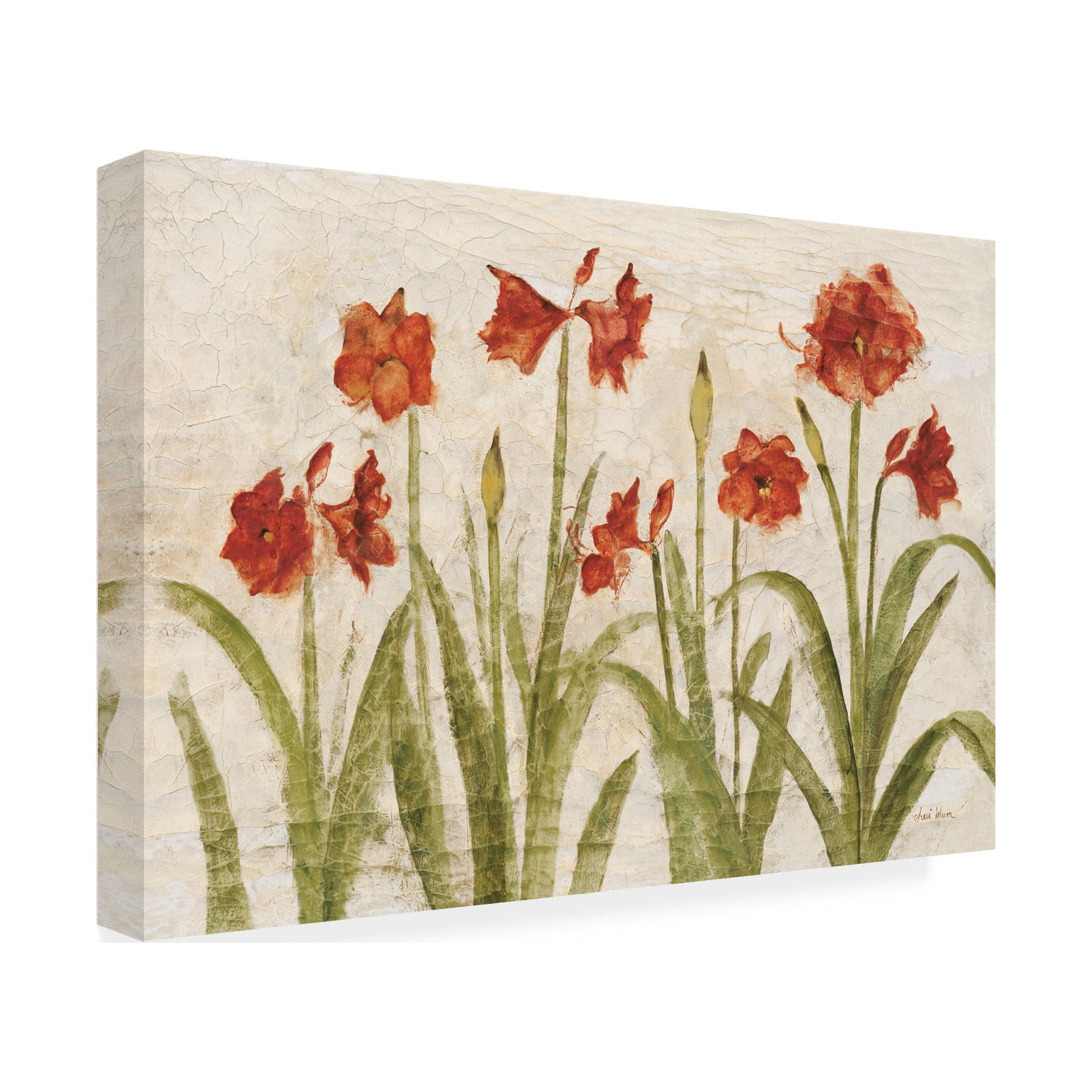 Cheri Blum 'Row of Red Amaryllis Light' Canvas Art