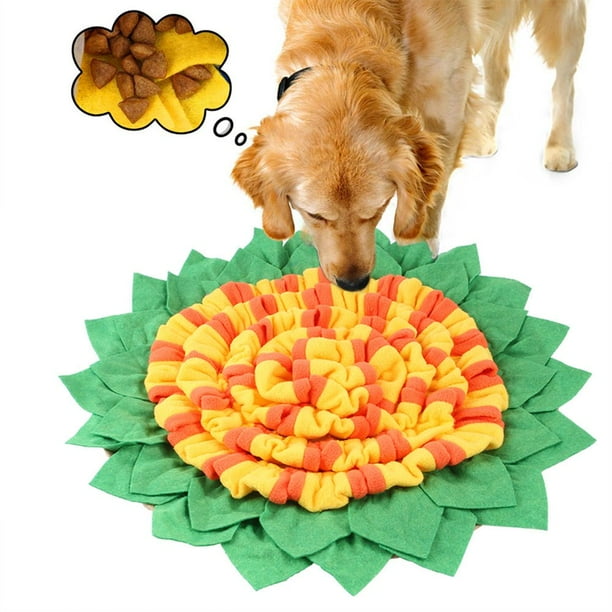 Dog biting blanket hotsell