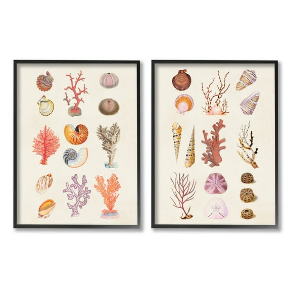 Stupell Industries Varied Aquatic Sea Life Graphic Art Black Framed Art Print Wall Art, Set of 2, Design by Vision Studio