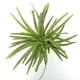 thumbnail image 2 of Pecera simulación plástico agua hierba acuario paisajismo plantas decoración Wdftyju  Libre de BPA, 2 of 5