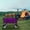 Purple, variant on MAYEERTY Strap Collapsible Wagon Cart, 225LBS Heavy Duty, 360° Swivel Wheels & Strapping System, Purple for Camping Shopping Garden