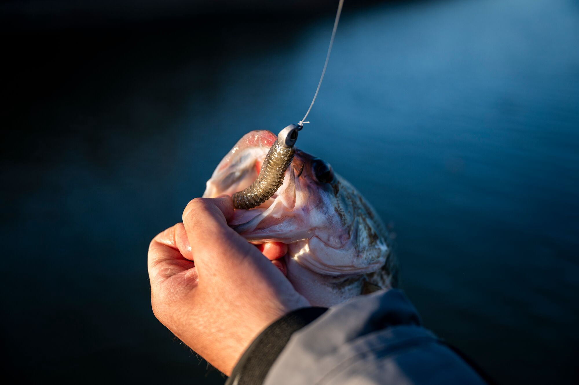 Berkley PowerBait® Power® Swimmer, 2.8 in, Fishing Swimbaits, Bluegill Flash