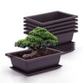 thumbnail image 5 of Yuedong Plant Pot Bonsai Training Pots with Tray Flower Pot Square Succulent Potted Plants Plant Pot for Garden, Living Room and Office-Black,6 Size, 5 of 15