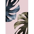 thumbnail image 2 of 1x Studio III 17x24 White Modern Wood Framed Museum Art Print Titled - Monstera Pink Light 01, 2 of 4