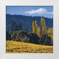 thumbnail image 3 of Rita Crane 4x24 White Modern Wood Framed Wall Art Titled - Autumn Gold II, 3 of 5