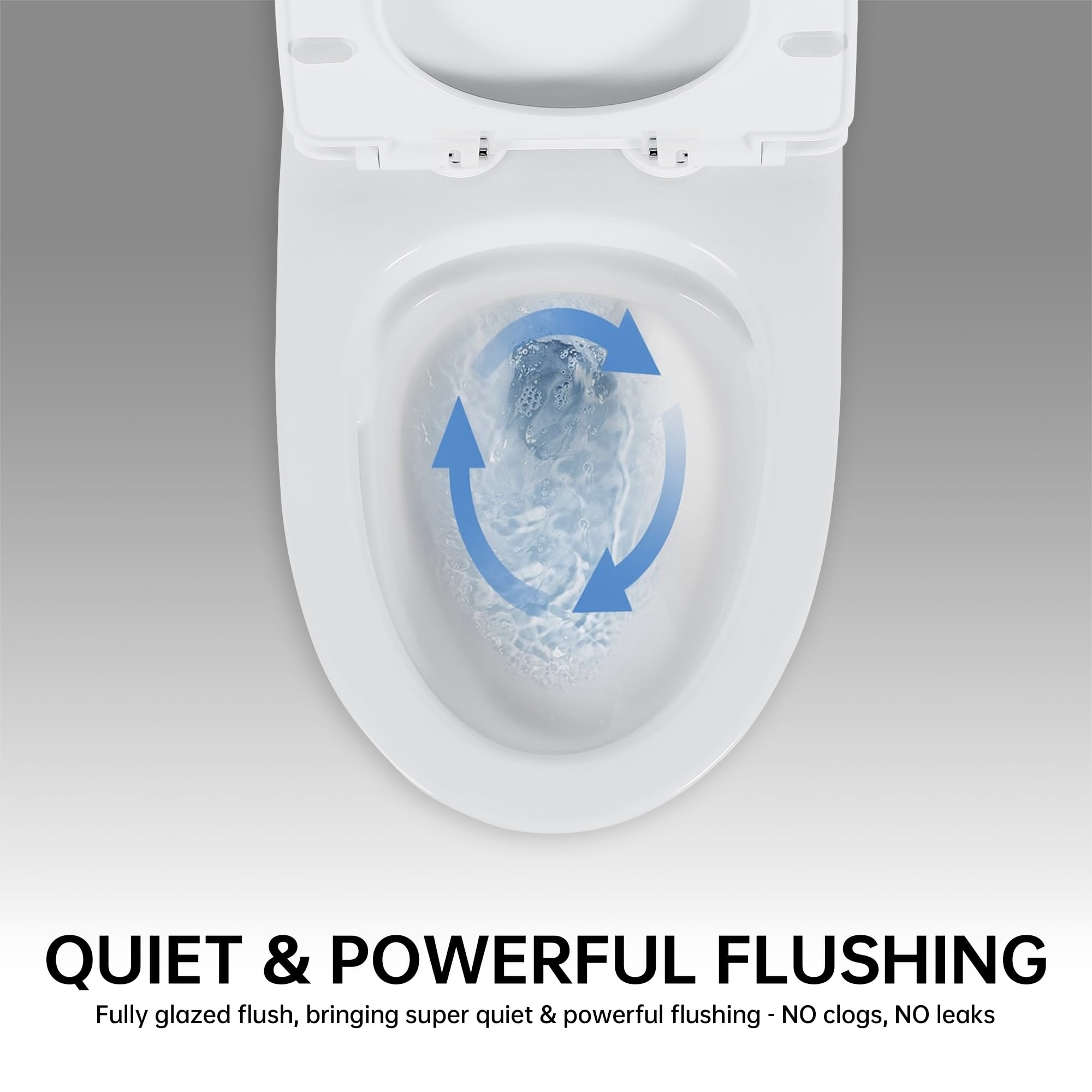 TrumanPick Elongated One Piece Toilet with 1.6 GPF Dual Flush, Compact Toilet, MAP Score 1000g, 12'' Rough-in, White