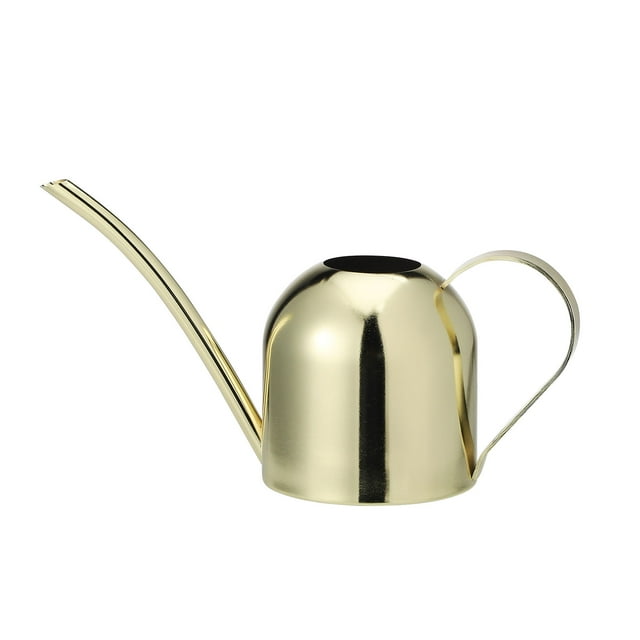 Arrosoir en Acier Inoxydable 500ML Intérieur Extérieur Pot d'Arrosage à Long Bec Outil de Jardin