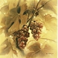 thumbnail image 2 of Denis, E 26x26 Gold Ornate Wood Framed with Double Matting Museum Art Print Titled - Grapes III, 2 of 4