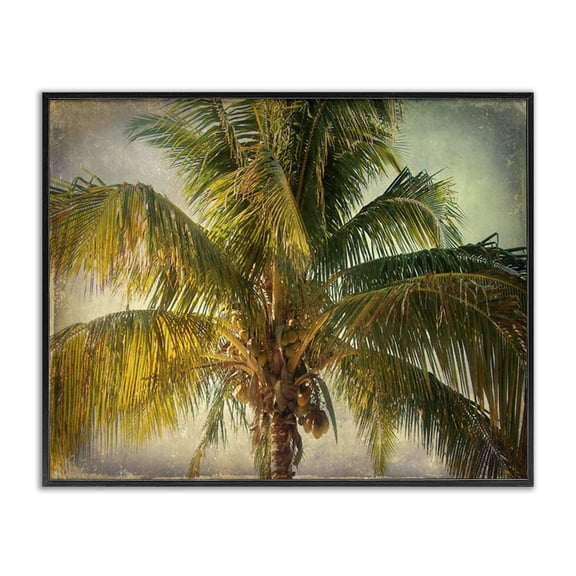 Stupell Industries Bohemian Tropical Summer Palm Tree Black Framed Giclee Art, 14 x 11, by Ashley Calhoun