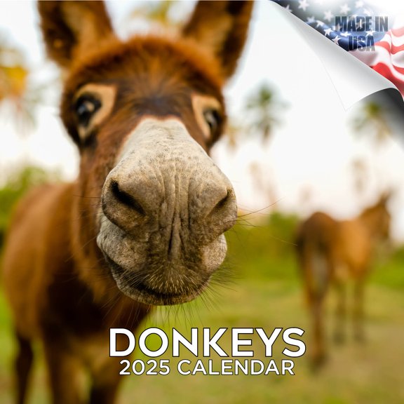 2025 2026 Donkeys Calendar - Cute Farm Animal Monthly Wall Calendar - 12 x 24 Open - Thick No-Bleed Paper - Giftable - Academic Teacher's Planner Calendar Organizing & Planning - Made in USA