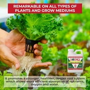 Hormex Rooting Powder #16 & Vitamin B1 Rooting Hormone Concentrate - Root Stimulator, 21g & 8oz