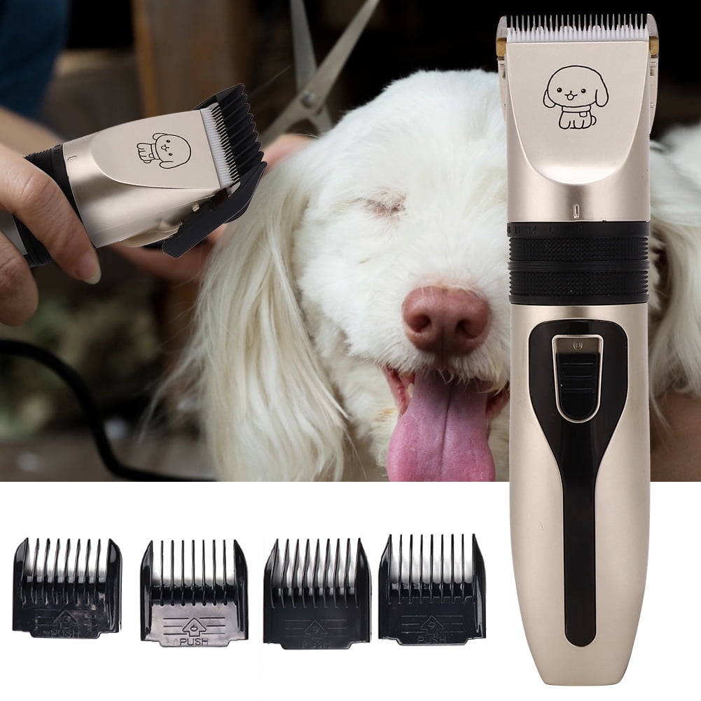 Dog hair cutter online