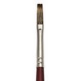 thumbnail image 1 of CEPILLO REAL ROYAL BRUSH RYL950904, 1 of 1