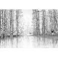 thumbnail image 2 of Gulin, Darrell 18x13 White Modern Wood Framed Museum Art Print Titled - Aspen Reflection, 2 of 4