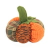 Way To Celebrate Stuffed Pumpkin with Green Leaves