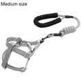 thumbnail image 1 of Pet Harness Leash Set Adjustable Foam Handle Car Harness Dog Harness with Leash, 1 of 8