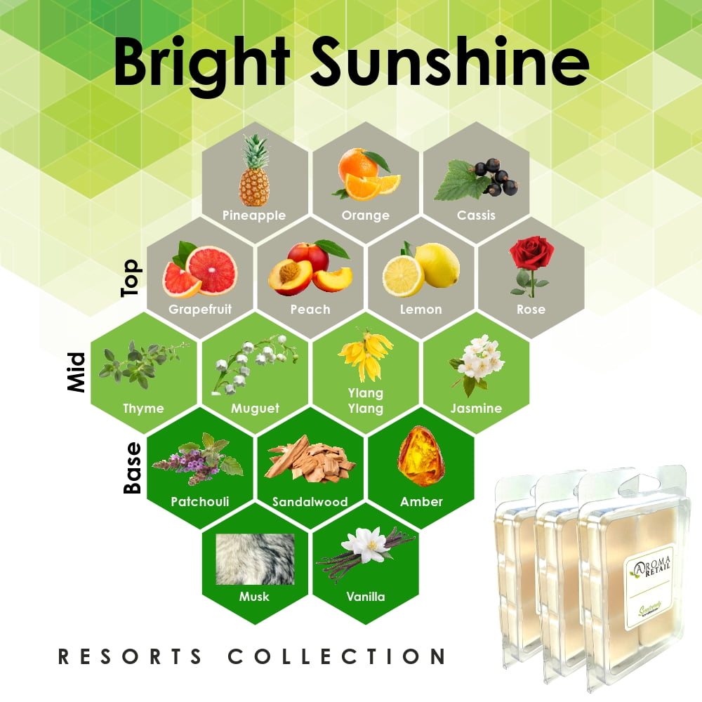 Aroma Retail Bright Sunshine Soy Wax Melts for Wax Warmer Fresh Scent, 3-Pack