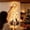A, variant on Lypsnake Angel Blessing Wall Light,Christmas Wall Hanging Ornament with Wings & Church Scene Details, Warm Glow Holiday Wall Decor for Xmas Home Display