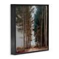 thumbnail image 2 of Stupell Industries Modern Tall Trees Pathway Black Framed Giclee Art, 17 x 17, by Kim Curinga, 2 of 8