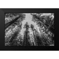thumbnail image 2 of Nature Magick 18x13 Black Modern Framed Museum Art Print Titled - Sequoia Tree Forest Sky Black and White, 2 of 5