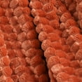 thumbnail image 5 of Better Home & Gardens Textured Velvet Plush Super Soft Throw Blanket, Terracotta Clay, 5 of 9