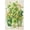 500 PCS, variant on 500 Piece Jar Shamrock Clover Hat Saint Patrick’s Day Irish Holiday Puzzle for Adults – Relaxing Brain Challenge for Home Decor