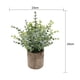 thumbnail image 5 of 2 miniplantas artificiales en maceta para interior y exterior, adorno para boda Pequeño Eucalipto+Hojas, 5 of 9