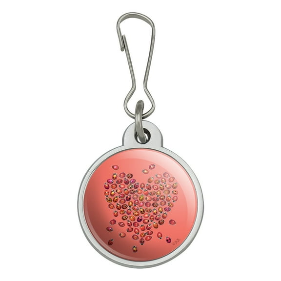 Red Heart Lady Bugs Love Valentine Jacket Handbag Purse Luggage Backpack Zipper Pull Charm