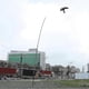 thumbnail image 5 of 7m Telescopic Pole Extendable Flying Hawk Kite Bird Repeller Scarer, 5 of 5