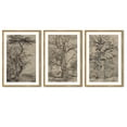thumbnail image 3 of Drsoum Rustic Famehouse Wall Decor 16x24in3pcs Natural Framed Vintage Tree Art Painting for Office, 3 of 6