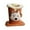 brown puppy, variant on Small Eyeglass Holder Glasses Stand Cases Desk Organizer Plush Lined Space Saving for Bedroom Kitchen Counter
