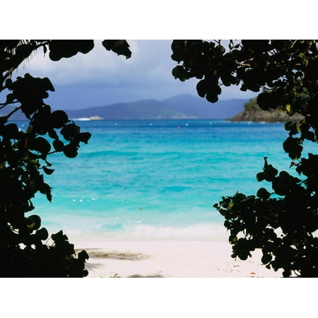 Panoramic View of a Beach, Cinnamon Bay, St. John, Us Virgin Islands, USA Print Wall (Best Beaches In Us Virgin Islands)