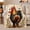Booted Rooster, variant on Whimsical Red-Booted Rooster Christmas, Festive Holiday Scene, Warm Flannel Blanket for Ranch House and Living Room, Art Lovers Christmas Gift, Festive Home Decor