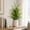 C, variant on Artificial Persian Grass Potted Plant Set,Realistic Decorative Green And Bloom Mix Arrangement,Durable Plastic Simulation Design,Living Room Shelf Fireplace Office Desk Home Accent Decor Piece