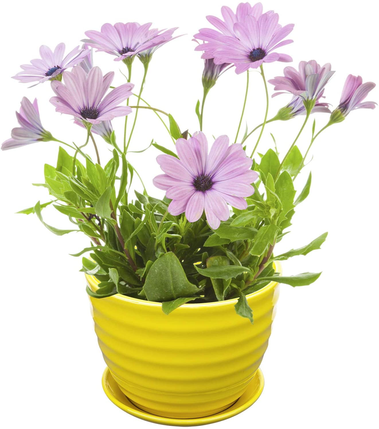 MyGift 7 Inch Round Modern Ribbed Design Yellow Ceramic Home Garden