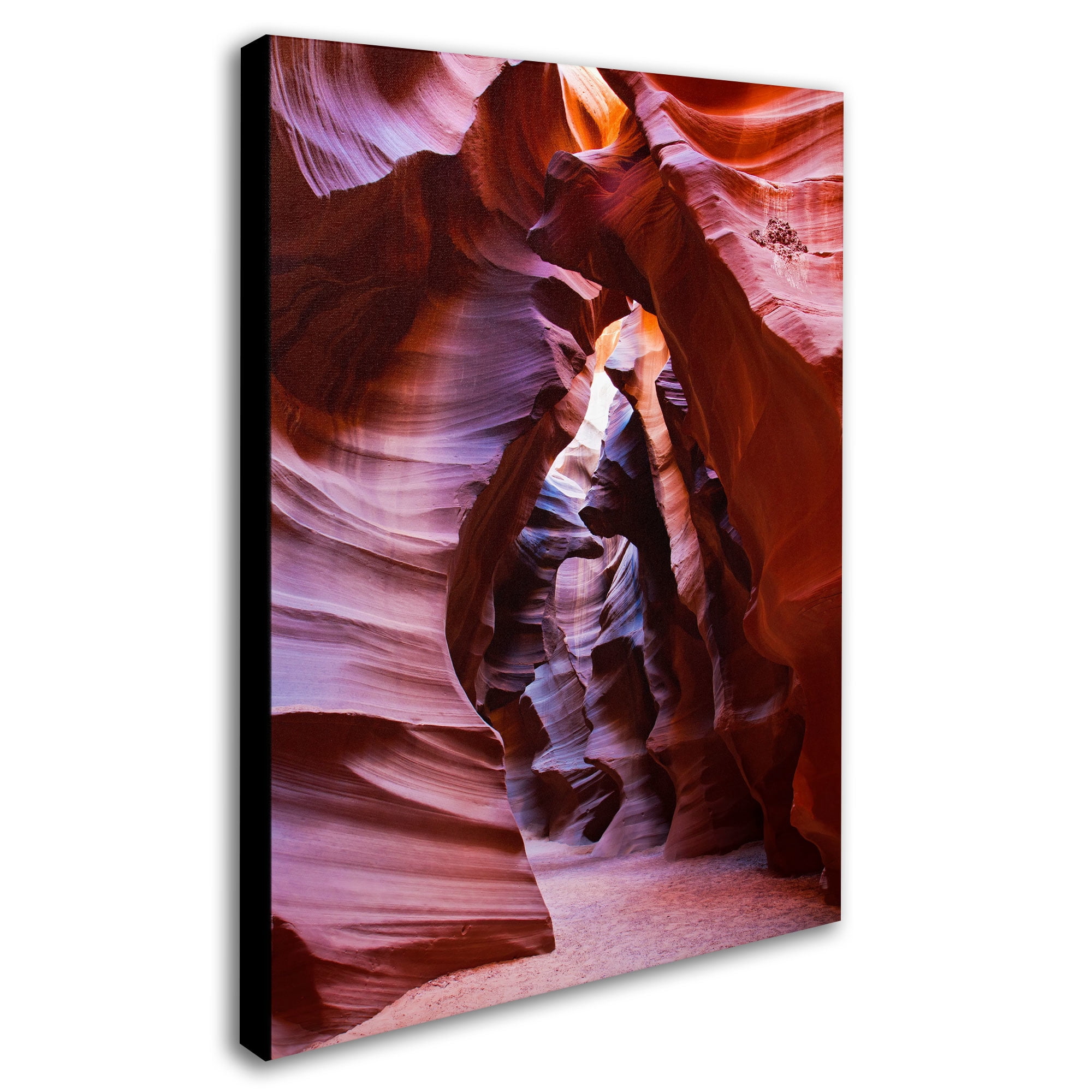 Trademark Fine Art 'Antelope' 16" x 24" Canvas Art (PL0006-C1624GG)