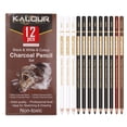 thumbnail image 1 of Juego de lápices de carbón, 16 piezas, negro, blanco y de colores, 1 of 1