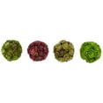 thumbnail image 2 of Allstate Floral Set of 4 Sedum Orbs Artificial Spring Plant Decorations 2.25" - Green/Burgundy, 2 of 3